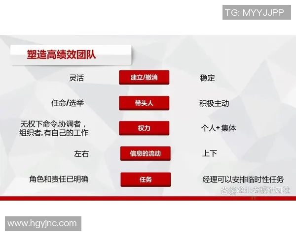 以教练为核心，构建高效团队：如何发挥教练引导作用提升团队绩效与凝聚力